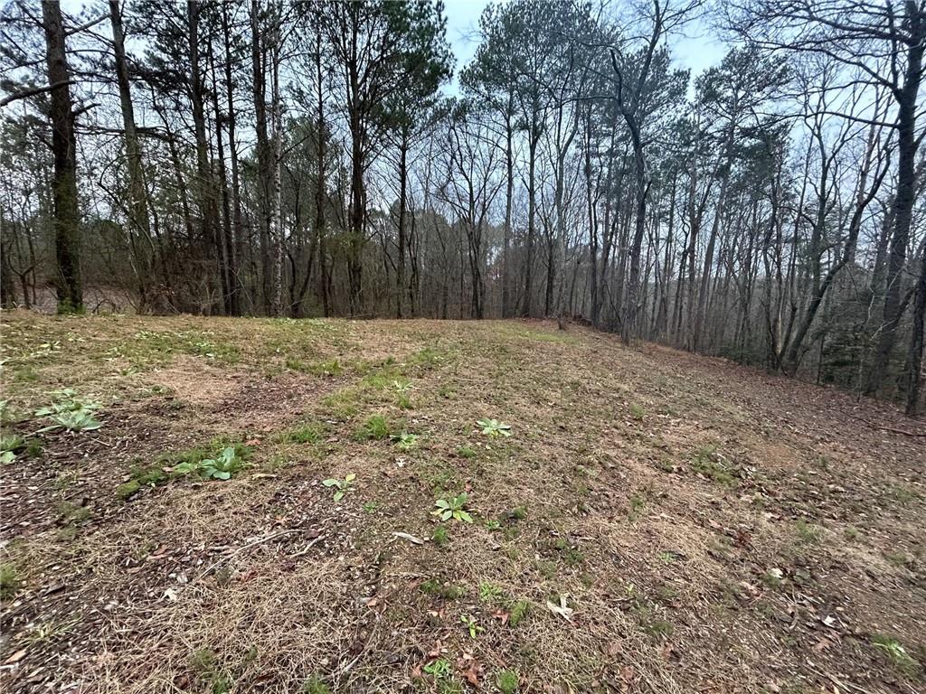 Damascus Road, Ball Ground, Georgia image 7