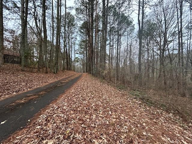 Damascus Road, Ball Ground, Georgia image 18