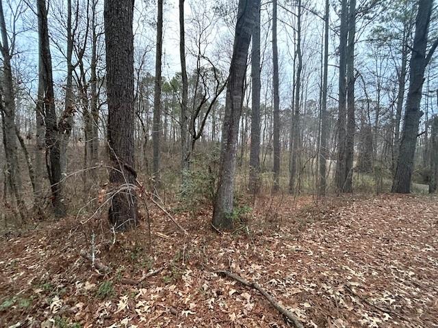 Damascus Road, Ball Ground, Georgia image 27