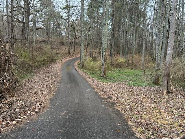 Damascus Road, Ball Ground, Georgia image 34