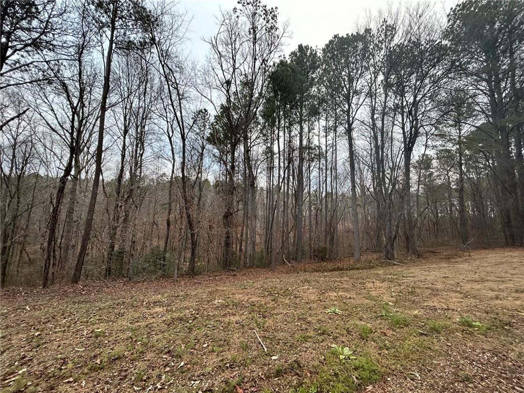 Damascus Road, Ball Ground, Georgia image 35