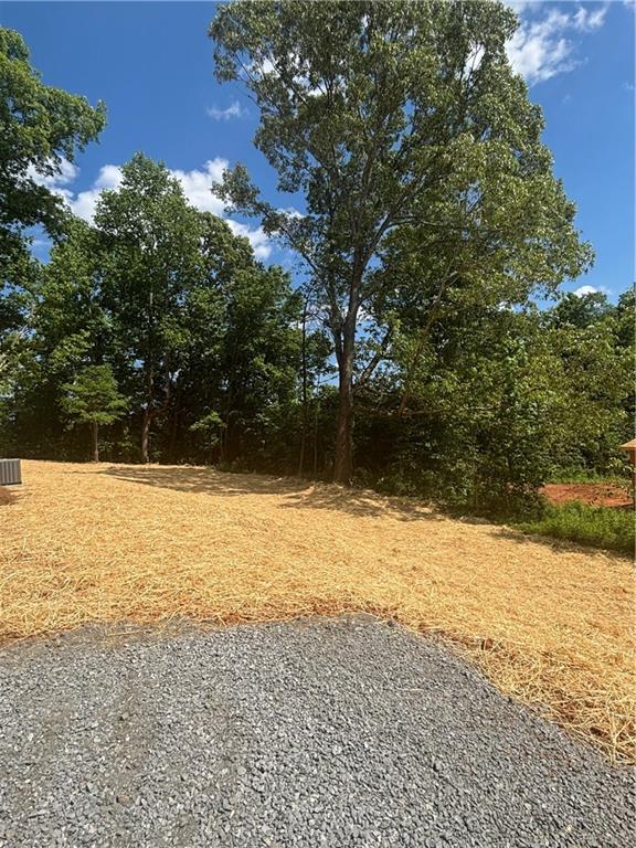 60 OLIVE BRANCH Lane