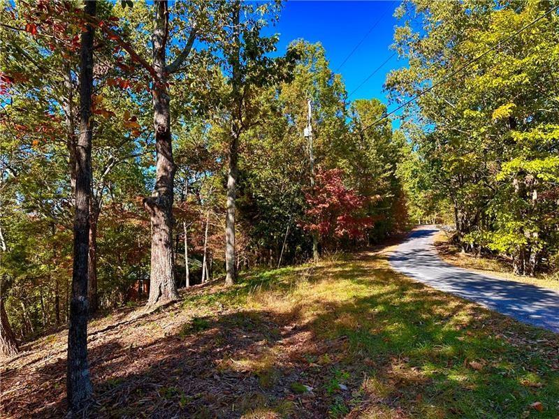 1405 Foxhound Trail, Ranger, Georgia image 4