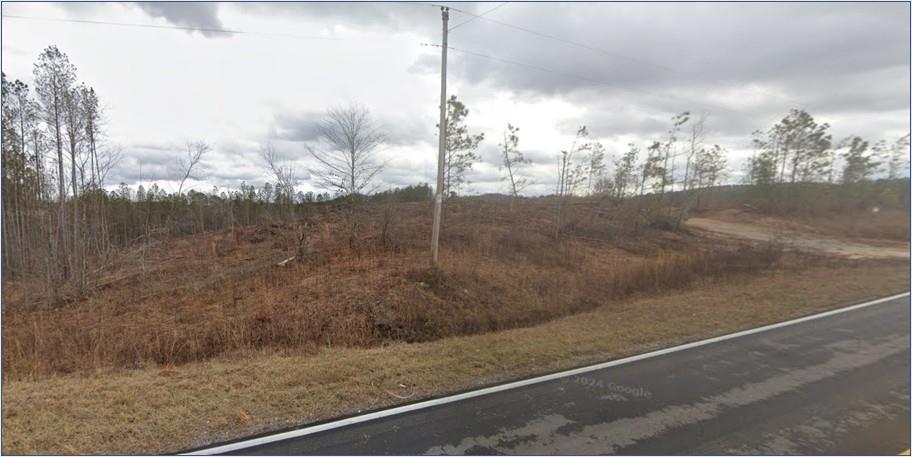 Tract1 Bethlehem Church Road, Buchanan, Georgia image 3