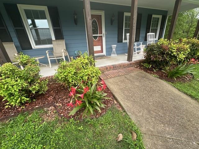 3366 Turkey Mountain Road, Rome, Georgia image 5