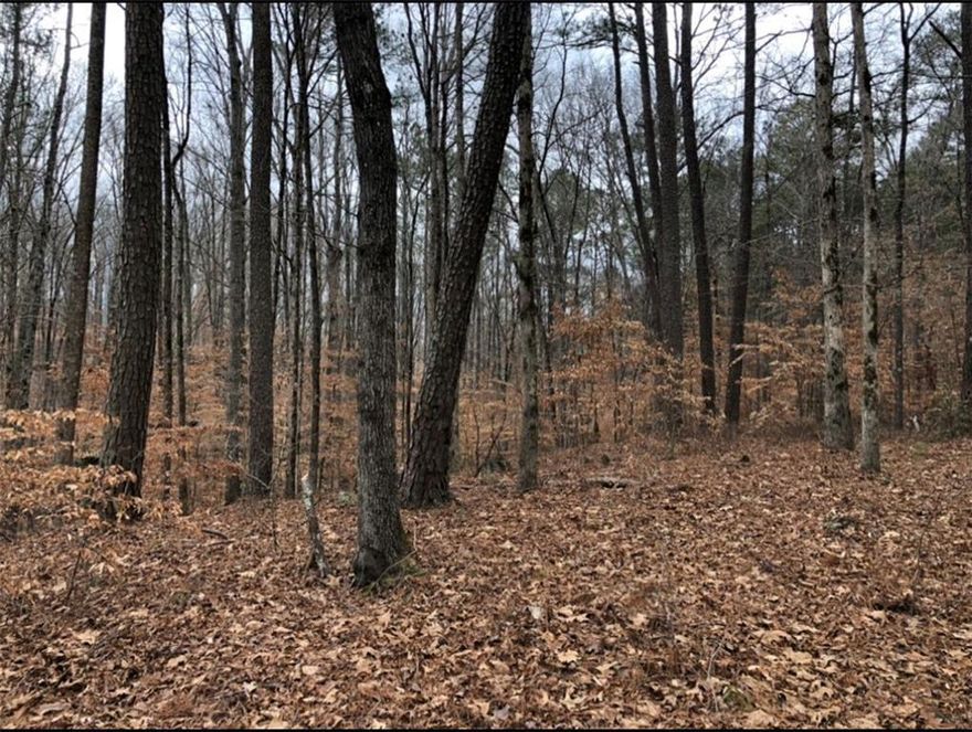 Unmatched Opportunity in Milton!  Calling all developers, investors, and visionaries—this is your chance to secure 17.4 acres of prime land in Milton at an unbeatable price! Whether you're dreaming of a luxurious single-family estate, a multi-home compound, a tranquil retreat, an equestrian paradise, or even a serene park, this property offers endless potential.  Nestled in a breathtaking natural setting, the land features a lovely brook and an abundance of mature hardwood trees, creating a picturesque environment that’s perfect for your vision. With no existing structures to remove, you can begin building right away (pending Milton approvals, of course).  Situated in a coveted North Fulton School District, this location combines peaceful seclusion with proximity to top-tier education - a rare combination that makes this property truly exceptional.
Even better, additional opportunities are available: 53 adjacent acres off New Providence Rd (listing #7183461)  and  approximatley 6 unlisted adjacent acres.  Opportunities like this don’t come often in Milton. Take advantage of this rare find and turn your dream into reality. Act fast - this gem won’t last long.