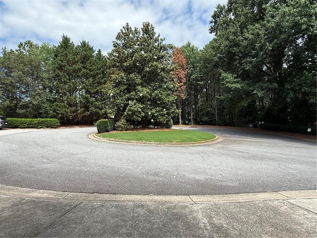 184 Peachtree Hollow Court