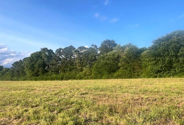 Lot 3 Lovebridge Rd, Calhoun, Georgia image 10