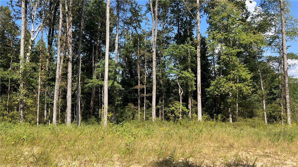 512 Level Creek Road