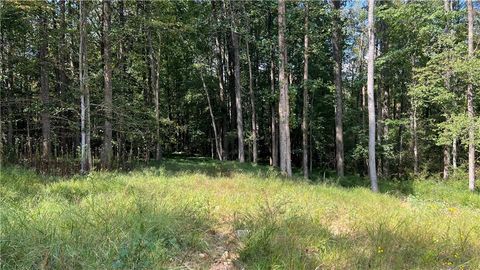 Vacant Land For Sale - 512 Level Creek Road<br/> Gwinnett County, Sugar Hill, GA 30518