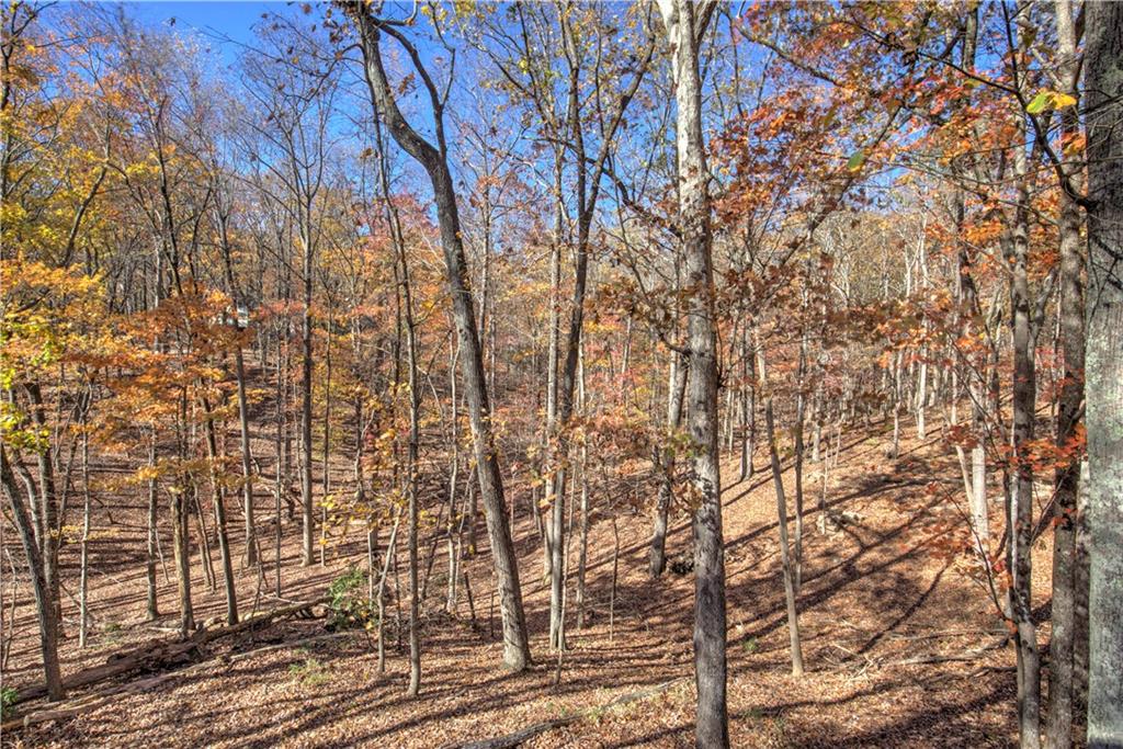 208 Trout Lily Trail, Big Canoe, Georgia image 26