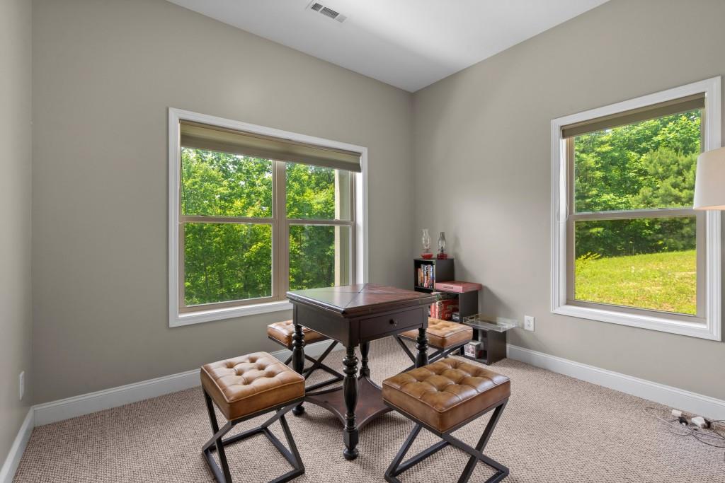 301 Shadow Mountain Road, Dillard, Georgia image 38