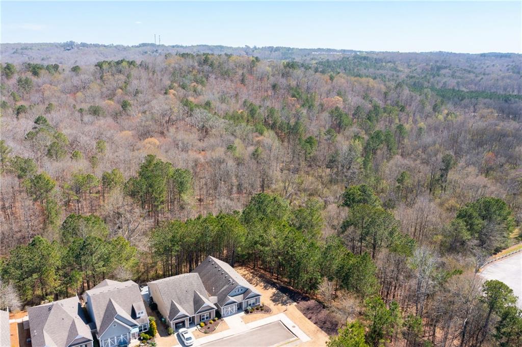 529 Riverview Lane, Canton, Georgia image 26