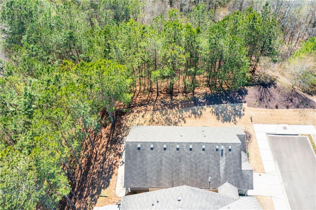 529 Riverview Lane, Canton, Georgia image 25