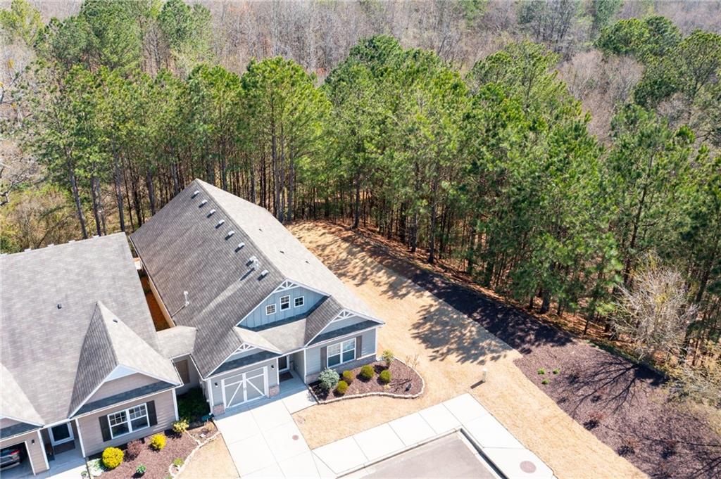 529 Riverview Lane, Canton, Georgia image 24
