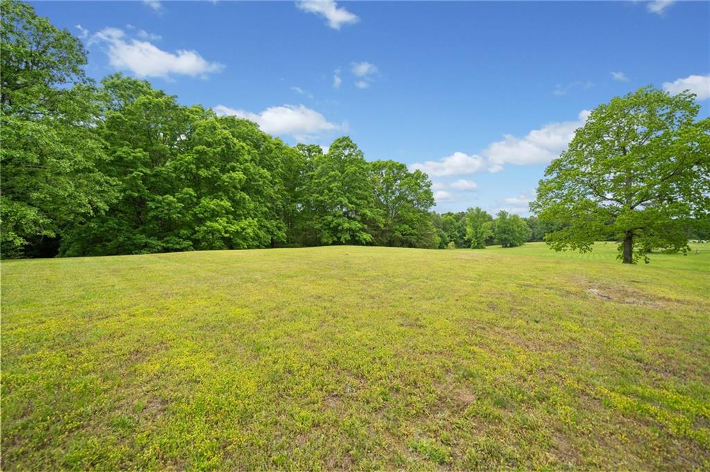 945 Old Federal Road, Chatsworth, Georgia image 9
