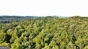 Vacant Land For Sale - Dawsonville Highway<br/> Dawsonville, GA 30506