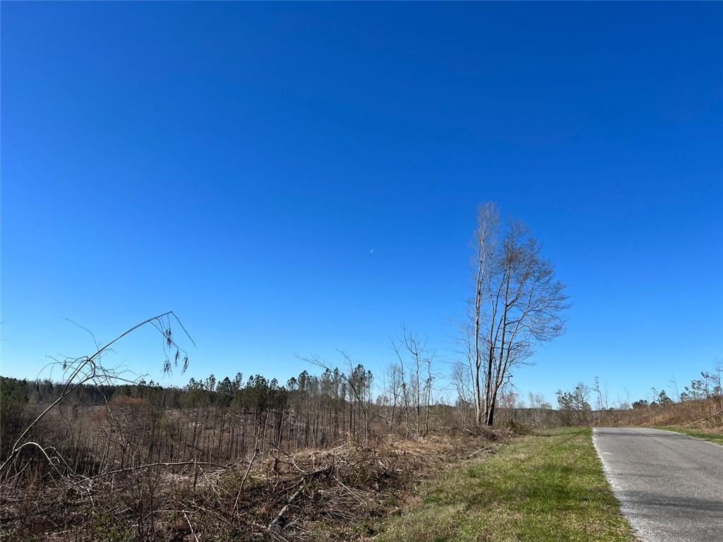 Bethlehem Church Road, Buchanan, Georgia image 1