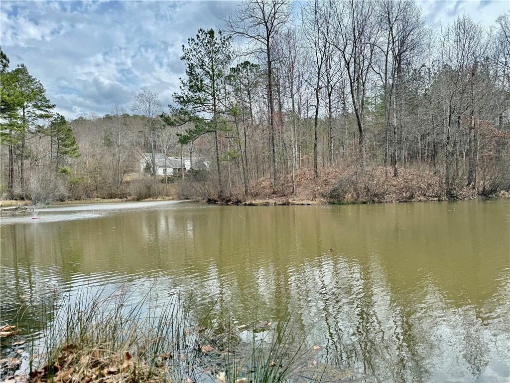 89 Paces Lakes Point, Dallas, Georgia image 18