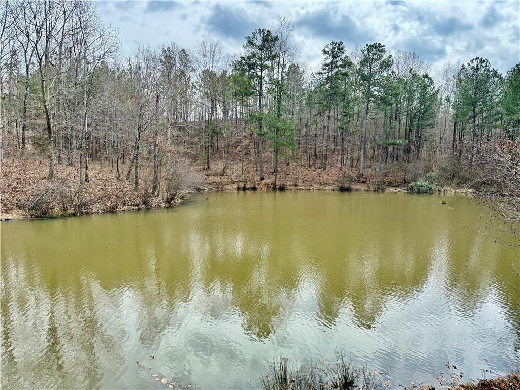 89 Paces Lakes Point, Dallas, Georgia image 17