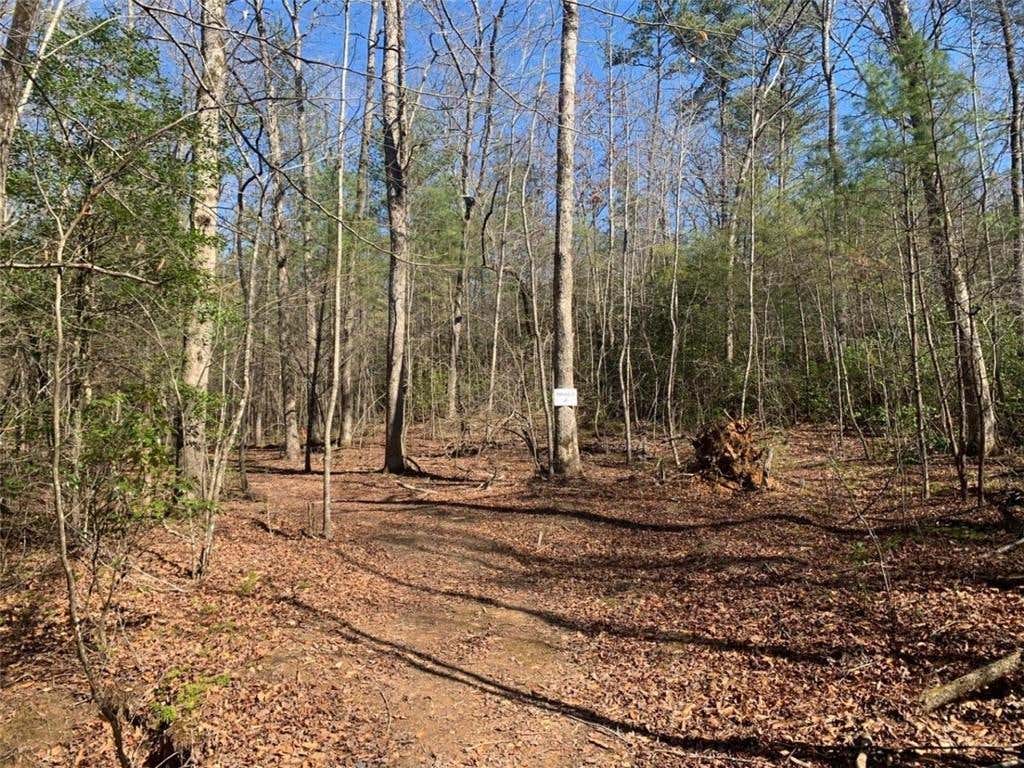 Photo of 2 E New Hope Road E, Ellijay, GA 30536 (MLS # 7786244)