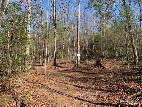 Vacant Land For Sale - TRACT2 E New Hope Road<br/> Ellijay, GA 30536