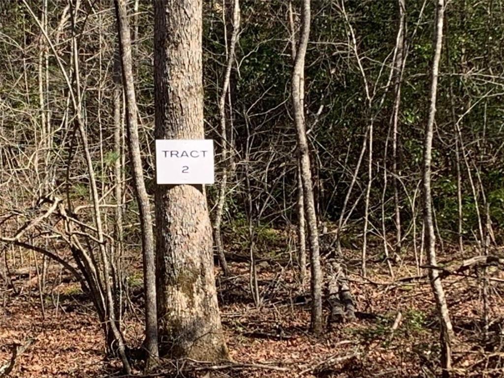 Photo of 2 E New Hope Road E, Ellijay, GA 30536 (MLS # 7786244)