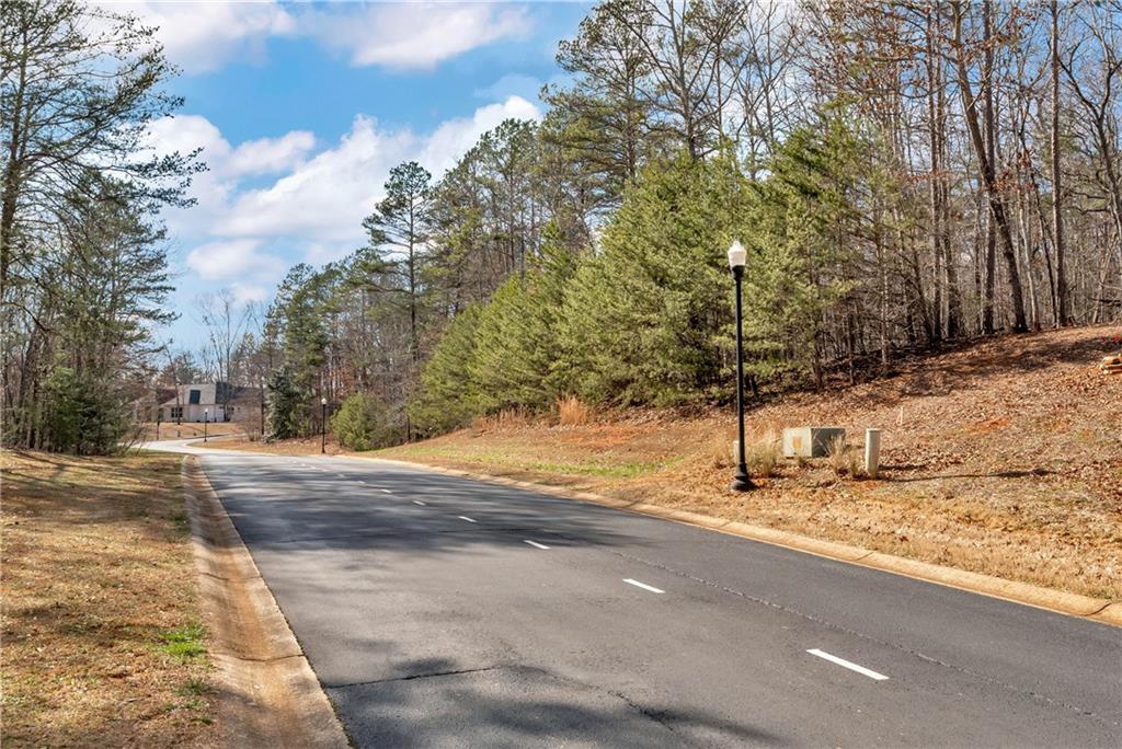 Shoals Way, Clarkesville, Georgia image 46