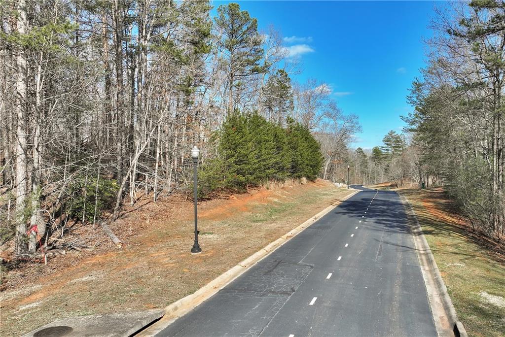 Shoals Way, Clarkesville, Georgia image 33