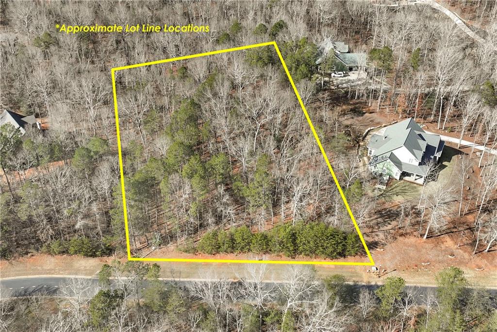 Shoals Way, Clarkesville, Georgia image 2