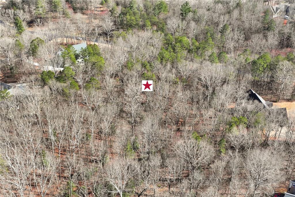 Shoals Way, Clarkesville, Georgia image 7