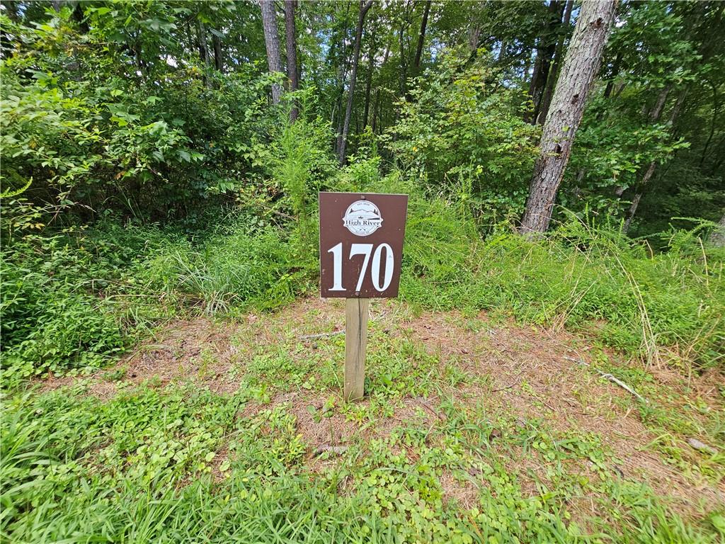Beautiful Lake View Lot! This is the last available lot on the water! The entire back of the lot is waterfront! Approximately 200 feet!!! If you want to feel you are in the country but yet have the lake and the amenities that come with it, then this your place. The lot features several building sites on the 1+ acres. It also has gated paved road access and the view from your lot of Lake LeCroy is simply breathtaking. HOA is only $650 per year! Surrounded by the mountains and only about 10 minutes away from town. You can also walk over to the community fire pit and picnic tables or take the time to go down to the lake and take in all its beauty while sitting at the covered community pavilion. Your dream home awaits to be built on this lake front lot!