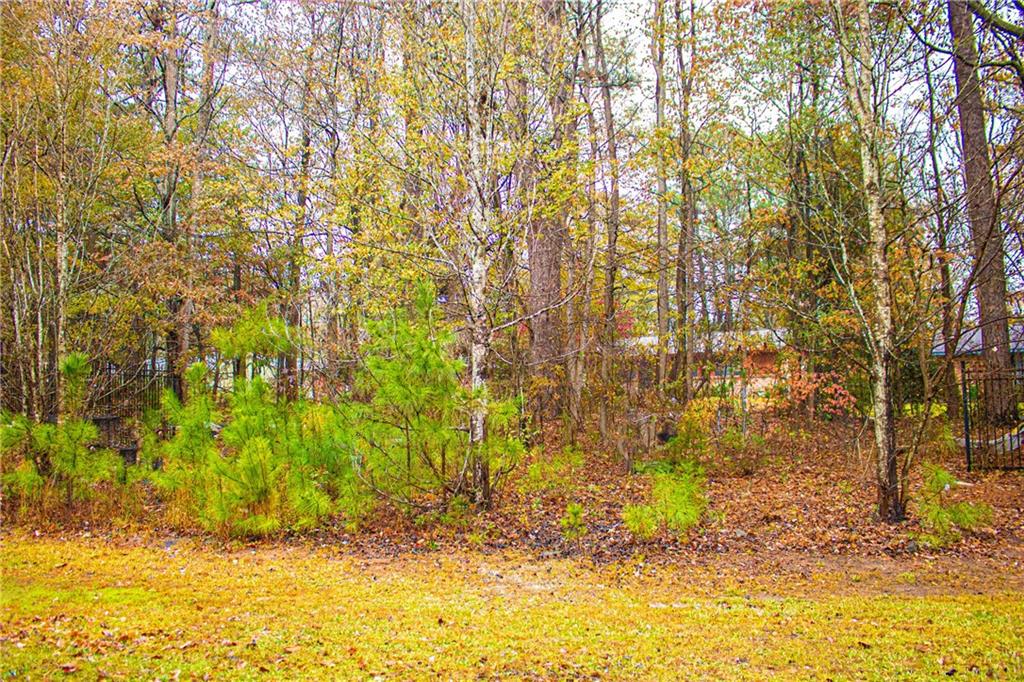 247 Brookview Drive, Riverdale, Georgia image 43
