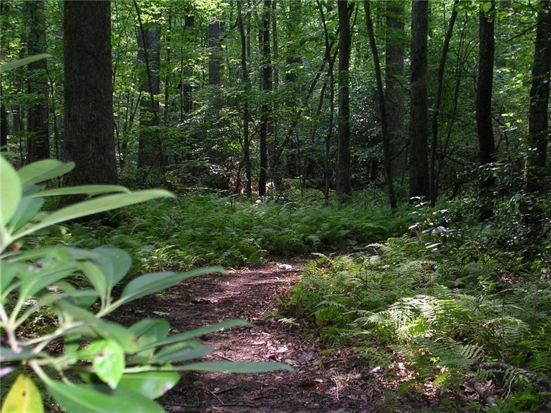 Lake Arrowhead - Residential