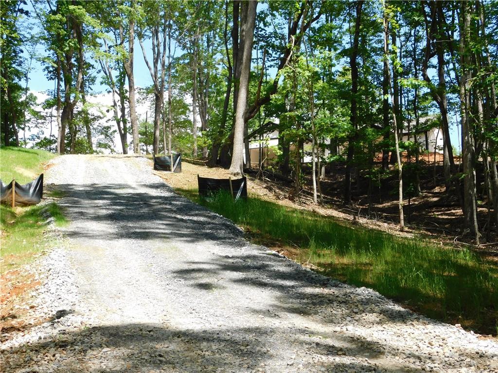 320 Harmony Drive Road, Dahlonega, Georgia image 19