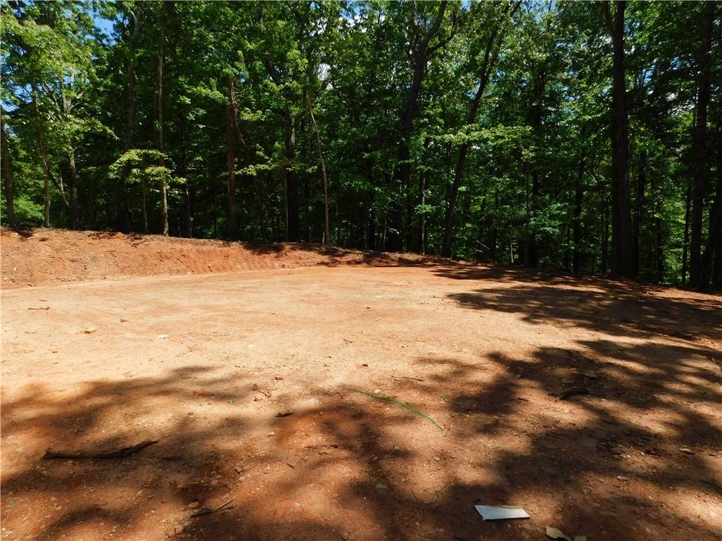 320 Harmony Drive Road, Dahlonega, Georgia image 4