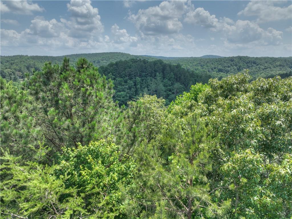 LT103R Mountain Creek Hollow Drive, Talking Rock, Georgia image 8