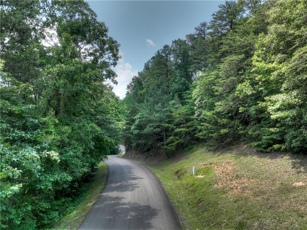 LT103R Mountain Creek Hollow Drive, Talking Rock, Georgia image 9