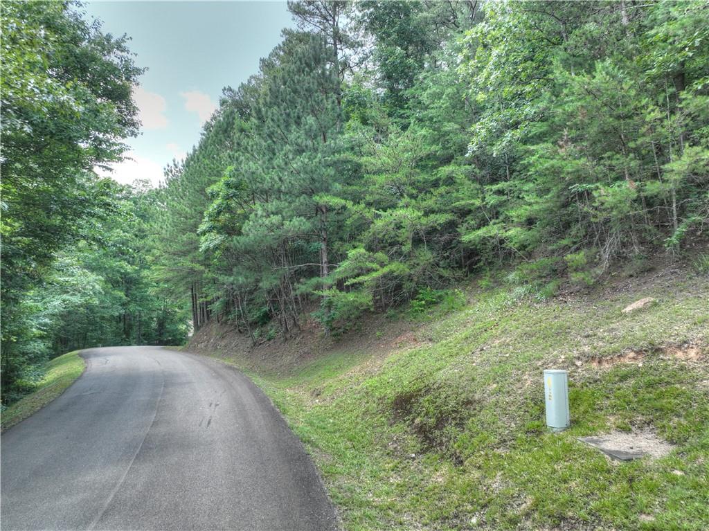 LT103R Mountain Creek Hollow Drive, Talking Rock, Georgia image 10