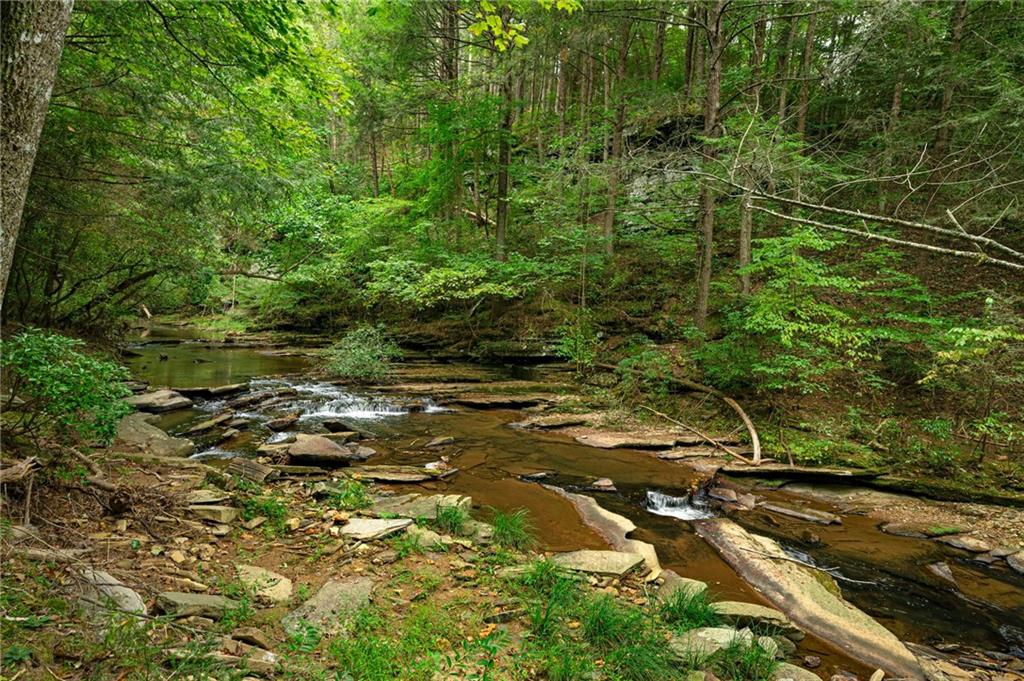 LT103R Mountain Creek Hollow Drive, Talking Rock, Georgia image 20