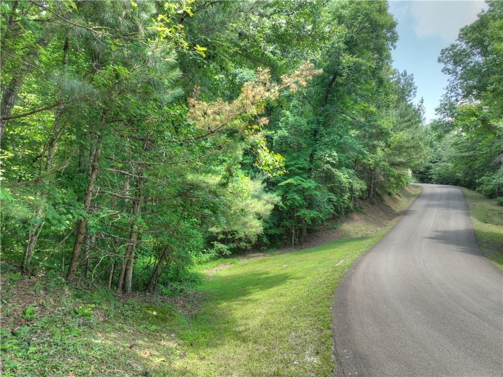 LT103R Mountain Creek Hollow Drive, Talking Rock, Georgia image 12