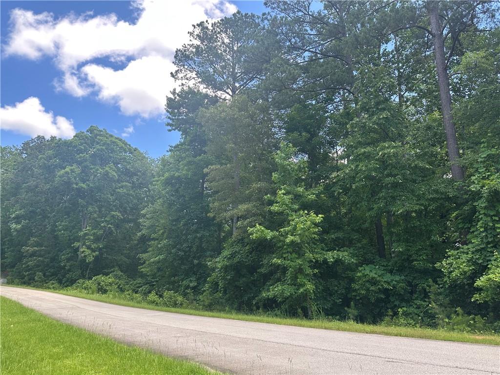 Elsberry Ridge Neighborhood. Undeveloped lot, secluded and wooded land Nestled atop the scenic and historic Elsberry Mountain, Lot 13 offers a rare opportunity to build your dream home! This lot has underground utlities, street lights, recorded final plat, topo maps, and HOA covenants to protect your investment.