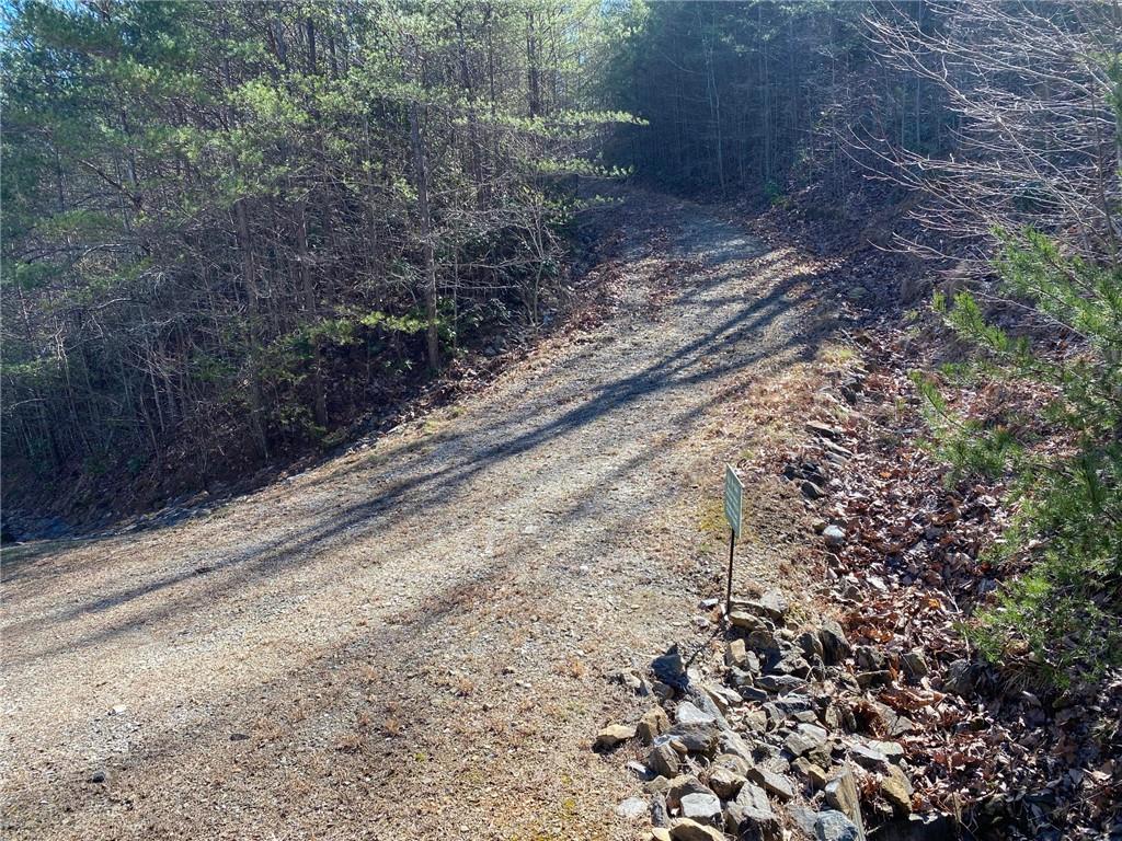 107 Sharp Mountain Parkway, Jasper, Georgia image 4