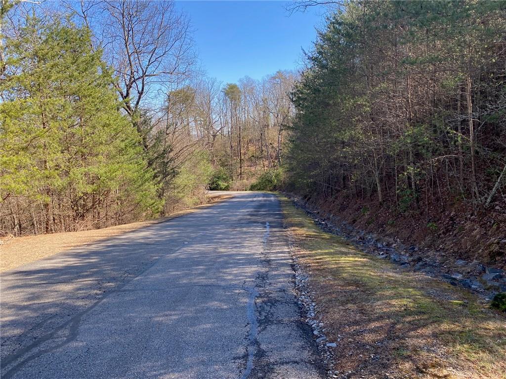 107 Sharp Mountain Parkway, Jasper, Georgia image 8