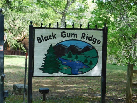 Vacant Land For Sale - Dallas Lane<br/> Blue Ridge, GA 30513