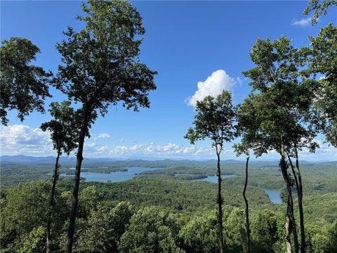 Homes For Sale - 970 Lakeview Drive<br/> Blue Ridge, GA 30513