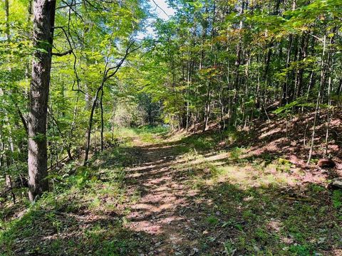 Vacant Land For Sale - 220 Maxwell Mountain Road<br/> Gilmer County, Blue Ridge, GA 30513