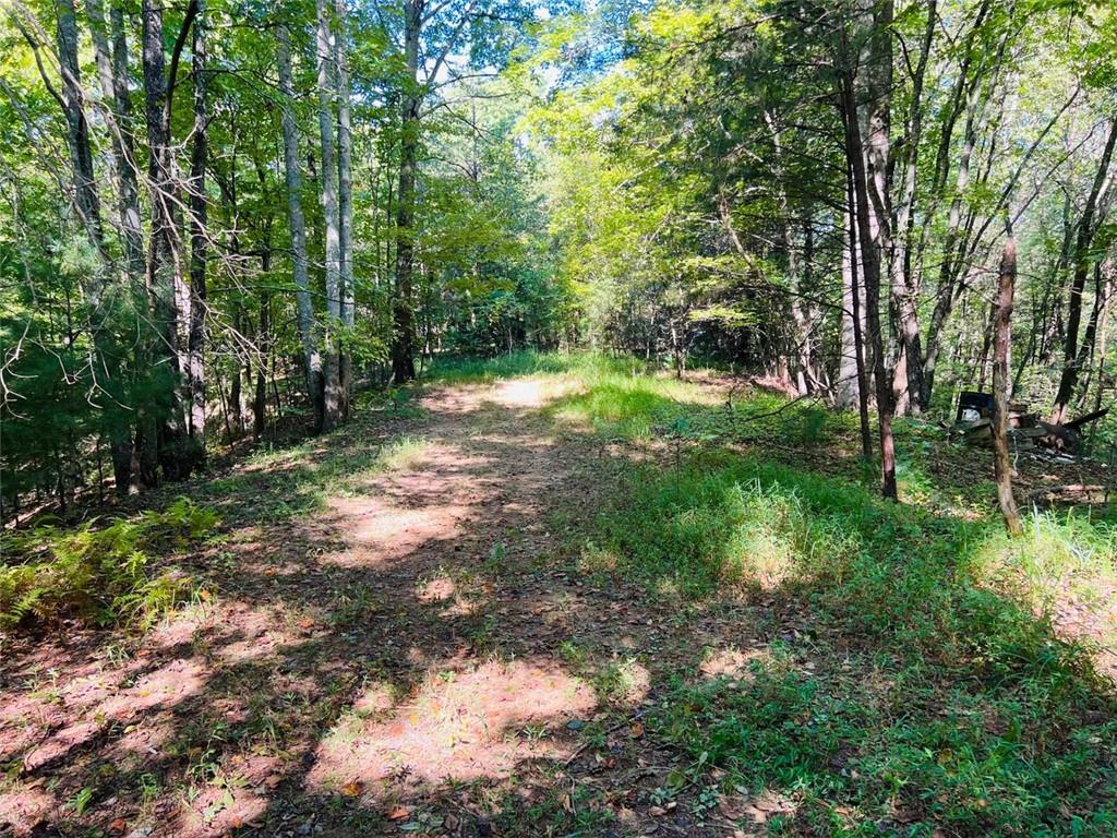 220 Maxwell Mountain Road