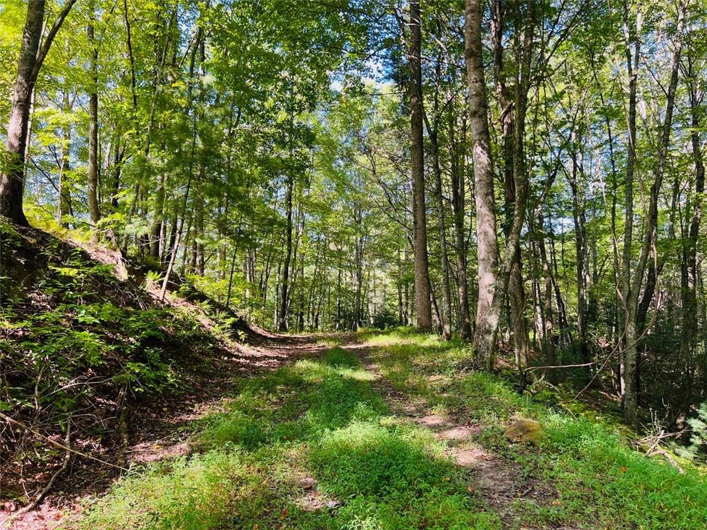 220 Maxwell Mountain Road