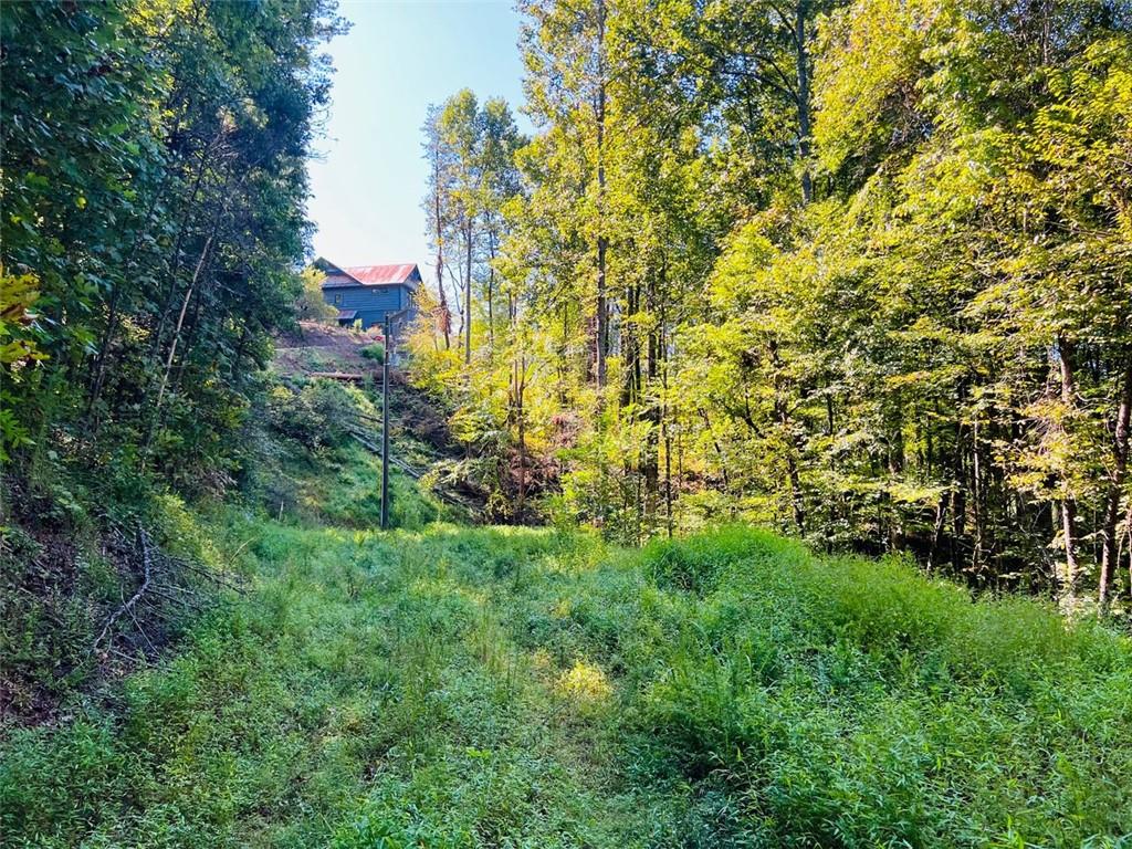 220 Maxwell Mountain Road